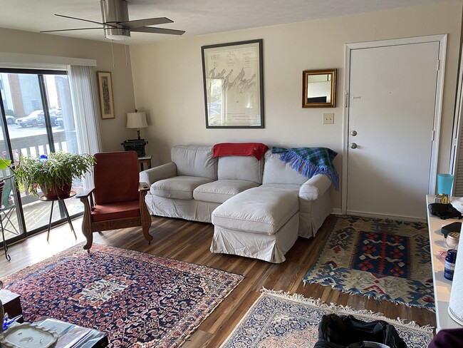 Living Room - 103 Haverford Ct