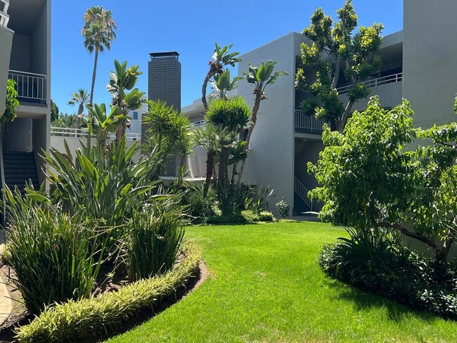 Foto del edificio - Encino Voltaire