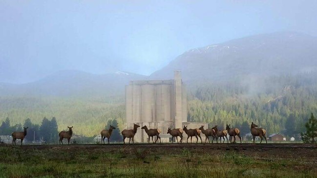 Distant Photo of Metaline Falls - Pend Oreille Apartments and Miners Hotel