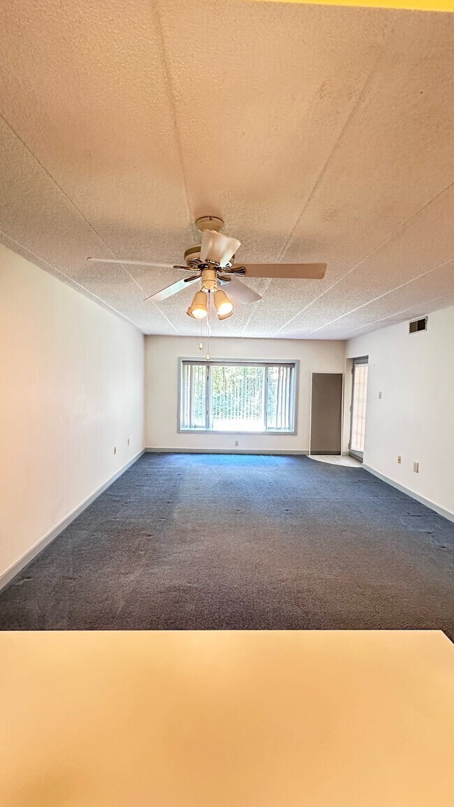 Building Photo - 2105 Dolphin Ave
