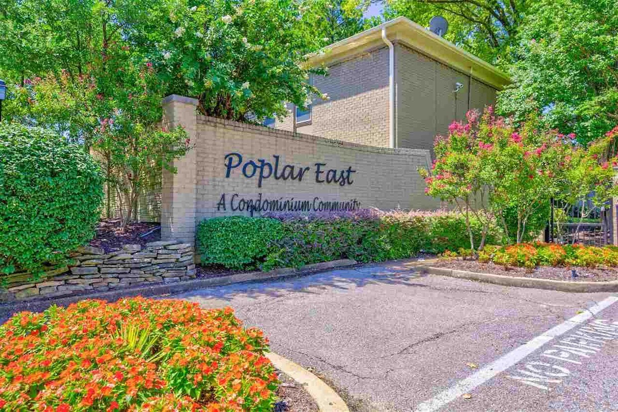 1039 June Rd, Memphis, TN 38119 Condo for Rent in Memphis, TN