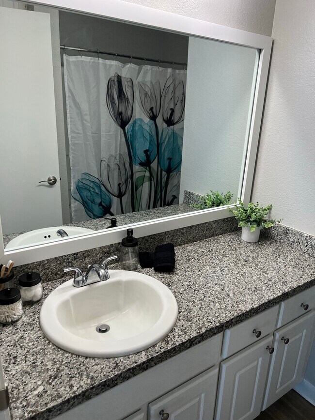 Building Photo - Arbor Pointe Apartments