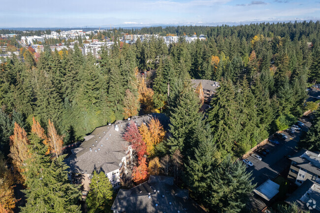 Exterior - Silver Glen Cooperative Apartments