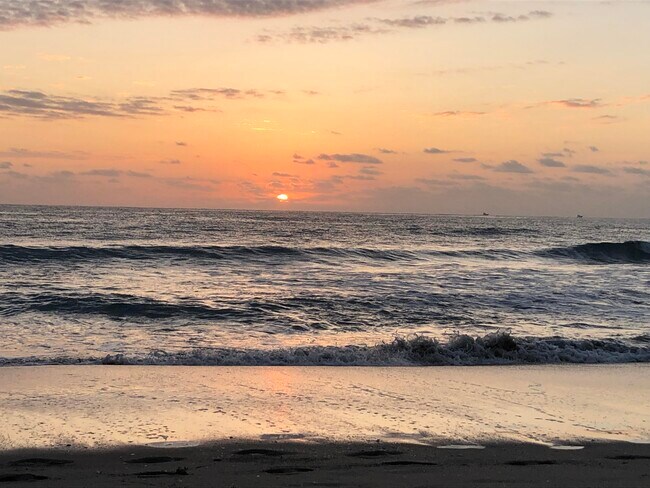 Foto del edificio - 2871 N Ocean Blvd