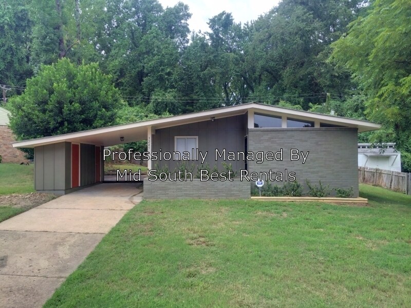 Primary Photo - 3245 Stella St