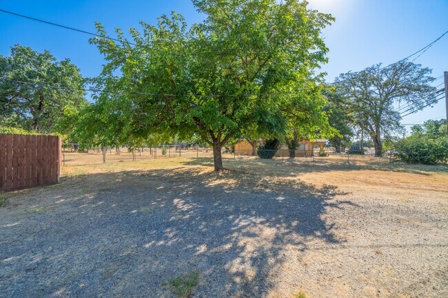 Foto del edificio - Adorable Studio Apt in Cottonwood - Dog Friendly! Available NOW!