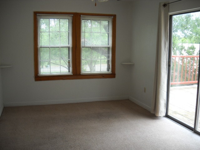 Building Photo - 1102 Blair - Unit A (Upstairs)