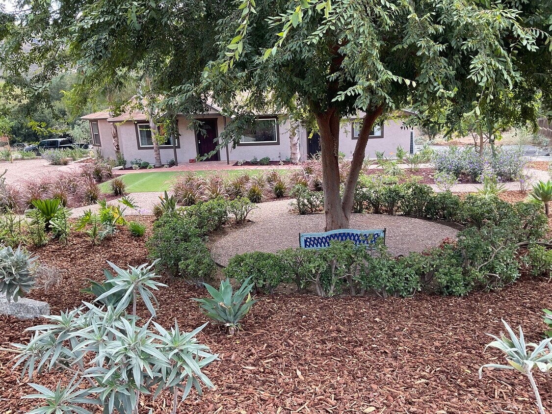 Árbol de sombra con banco en el patio delantero. - 22947 San Vicente Rd