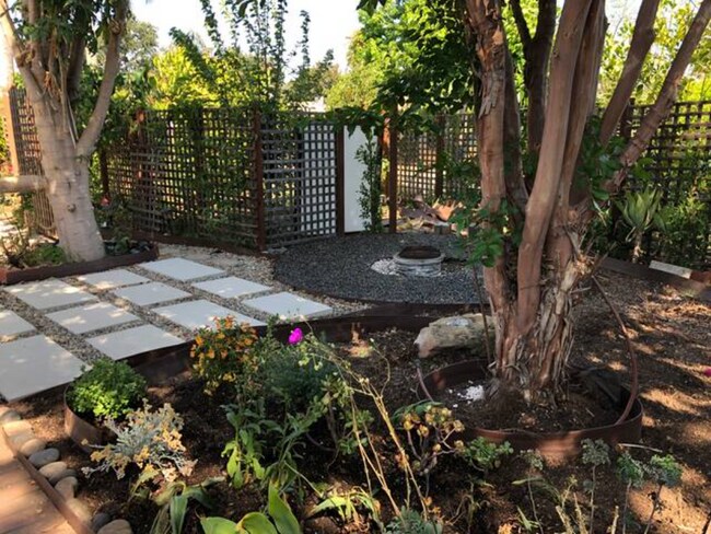 Front yard - 23023 Leonora Dr