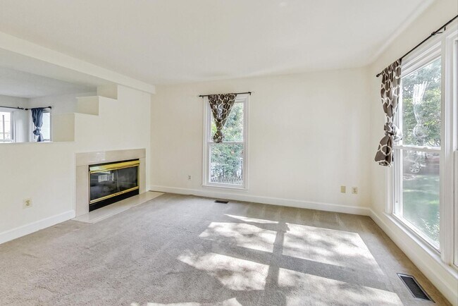 Foto del edificio - Cool on Cool Spring! Large SF 4 Bed + 2.5 BA