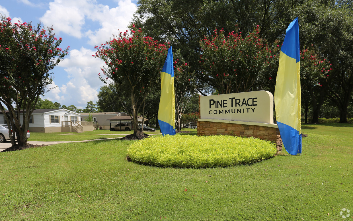 Foto principal - Pine Trace