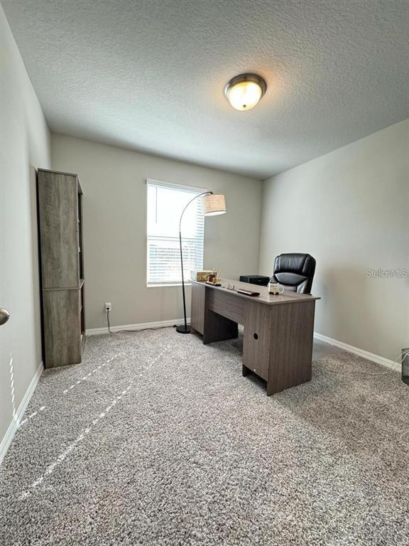 Foto del edificio - 520 Whistling Duck Trl