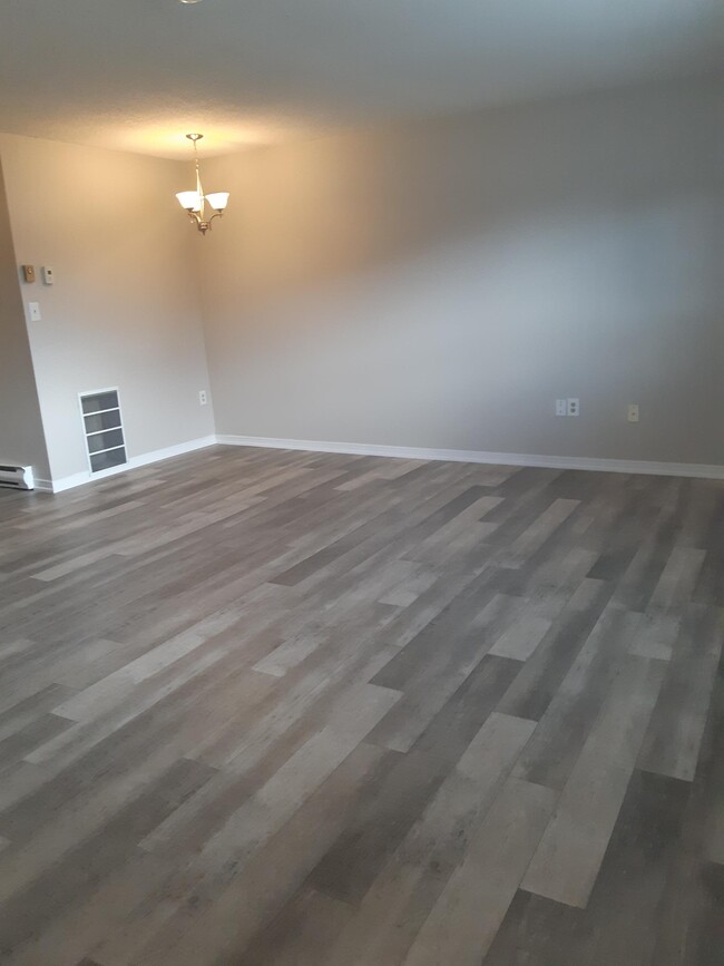 Large, bright living room - 109 George St
