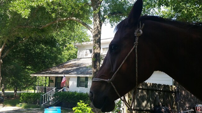 Foto del edificio - 331 Glenwood Dr