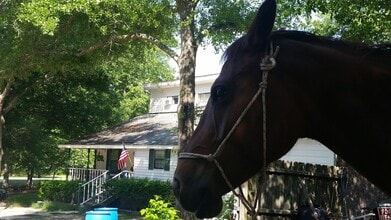 Building Photo - 331 Glenwood Dr