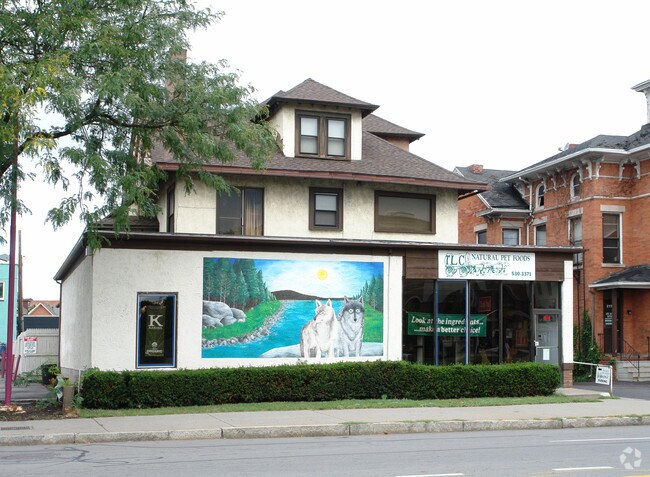 Building Photo - 215 Alexander St