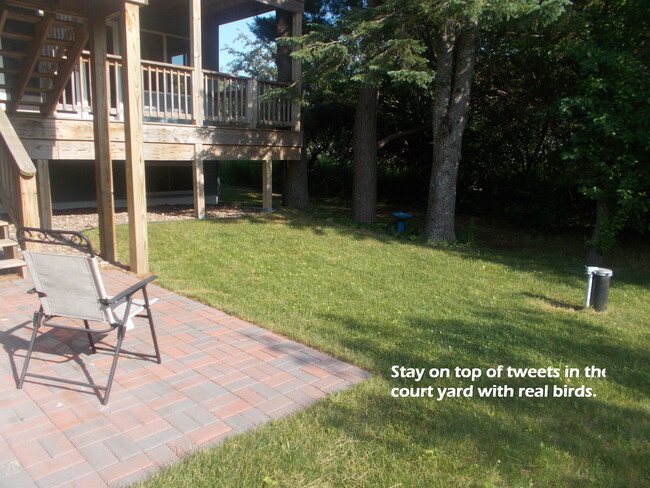 Court Yard - 50571 6th St