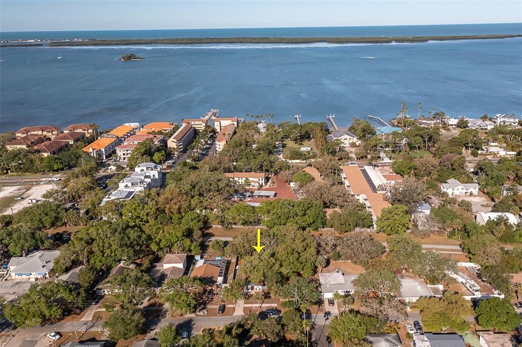 1436 Douglas Ave, Dunedin, FL 34698 House Rental in Dunedin, FL