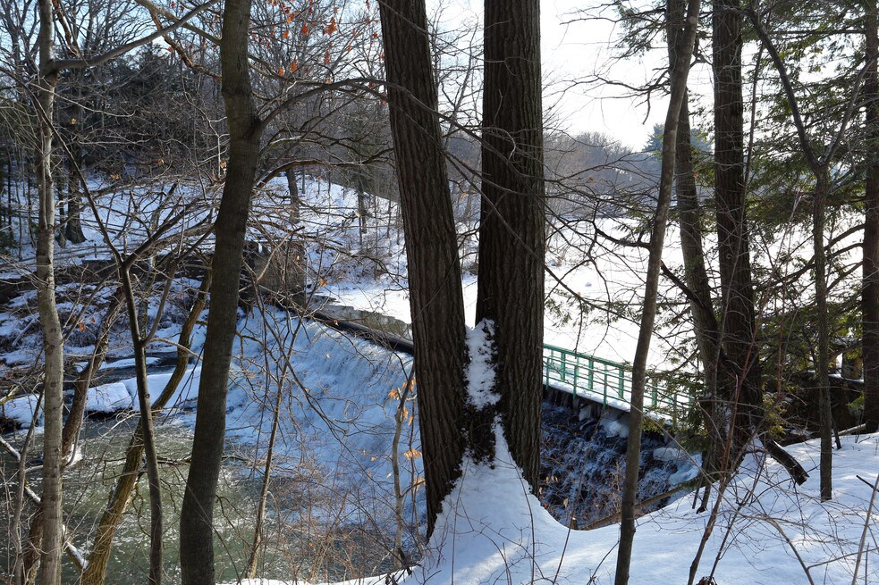 Is Hitchcock Woods a Good Place To Live in Youngstown? Neighborhood
