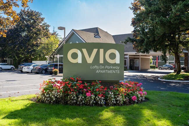 Building Photo - AVIA Lofts on Parkway