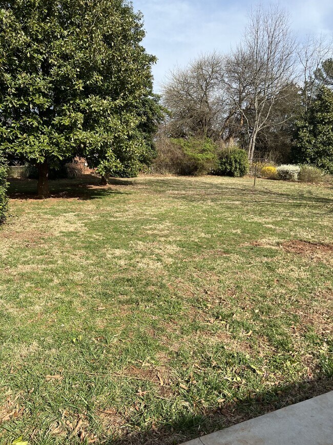 Foto del edificio - 3 Bdrm / 2 Bath House Available 6/20/25! N...