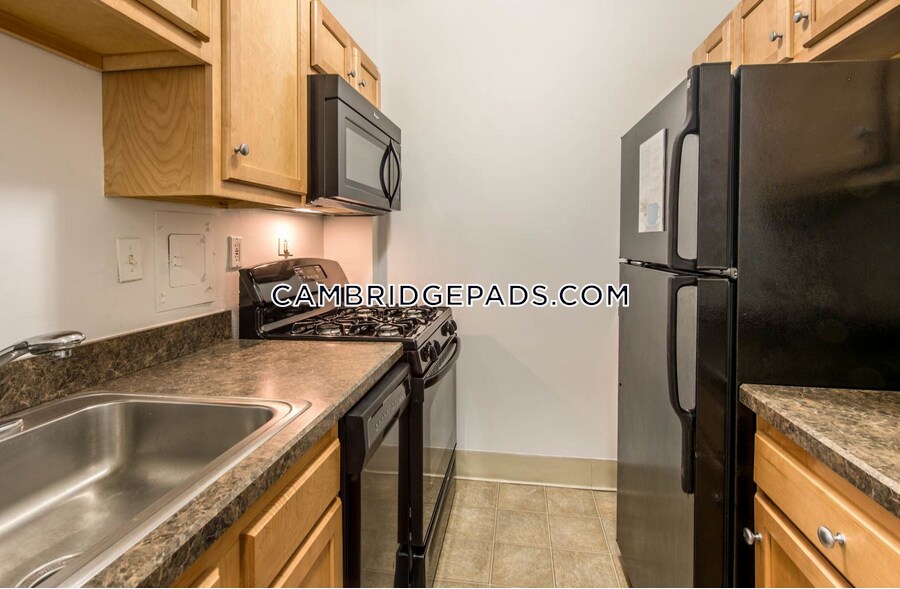 Primary Photo - 205 Walden St.