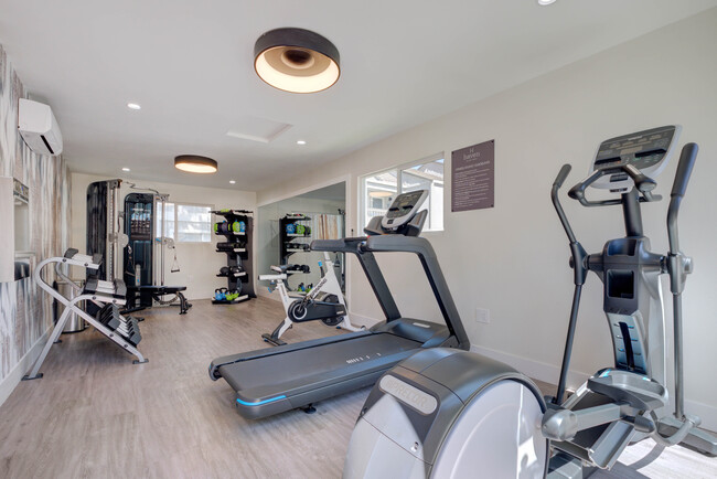 Fitness Studio - The Hayden