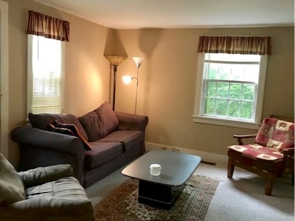 Common Living Room - 1205 S Main St