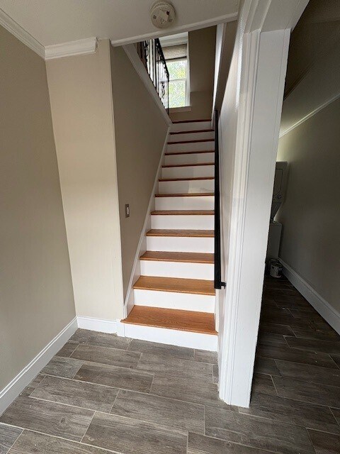 Stairs from Mudroom - 15 Rockwood Rd