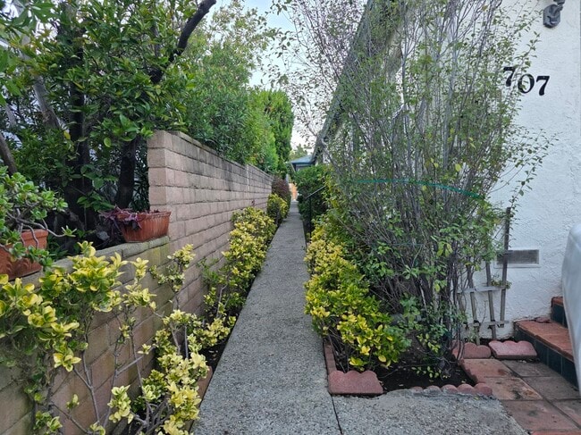 Building Photo - 707 Copeland Ct