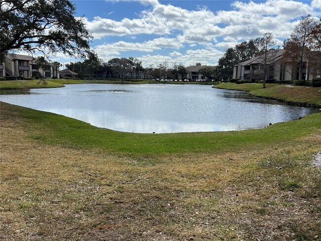 Foto del edificio - 10265 Gandy Blvd N