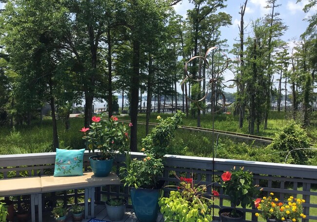 Water view from back deck - 117 Forecastle Ct