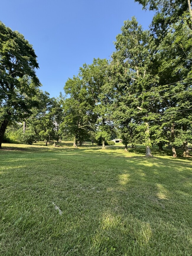 Surrounded by pastures & Trees! - 363 Shannon Dr