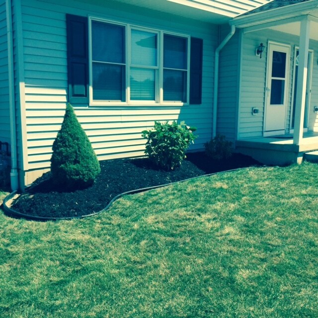 Front yard landscaped - 25 Roosevelt Ave