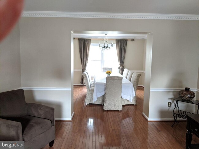 Building Photo - 2570 Wild Olive Ct