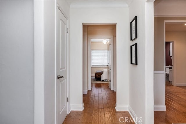 Building Photo - 4538 Lemp Ave