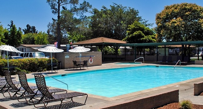 Piscina - Westwinds