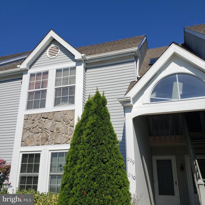 Primary Photo - 229 Loring Ct