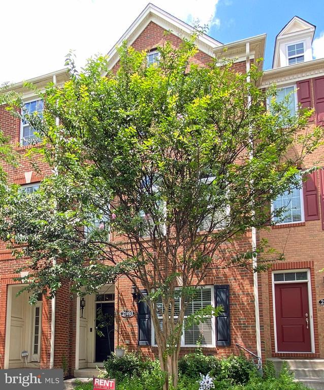 Building Photo - 22493 Cambridgeport Square