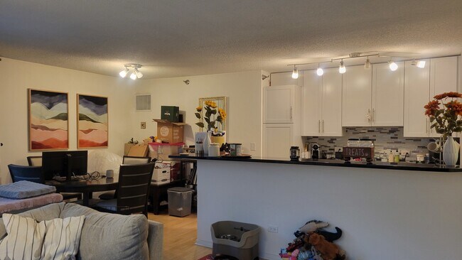 Building Photo - 480 N McClurg Ct