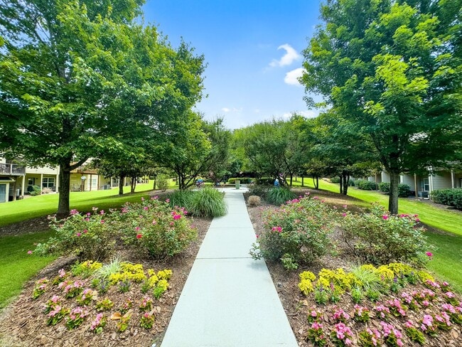 Building Photo - 3 bedroom 3 bath  Townhouse in Cobblestone...