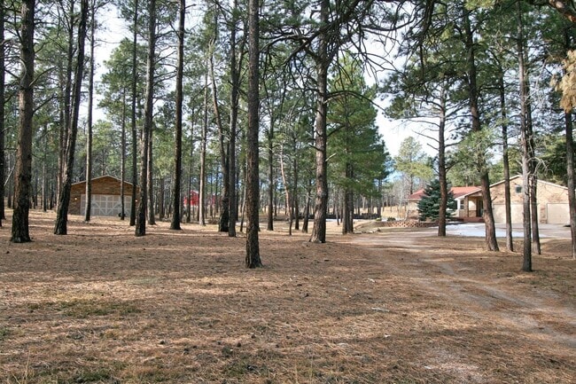 Building Photo - 12240 Lazy H Way