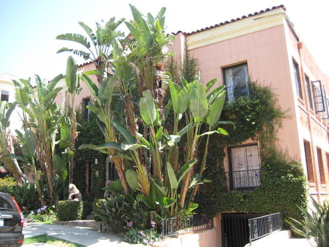 Foto del edificio - 1926 N Kenmore Ave