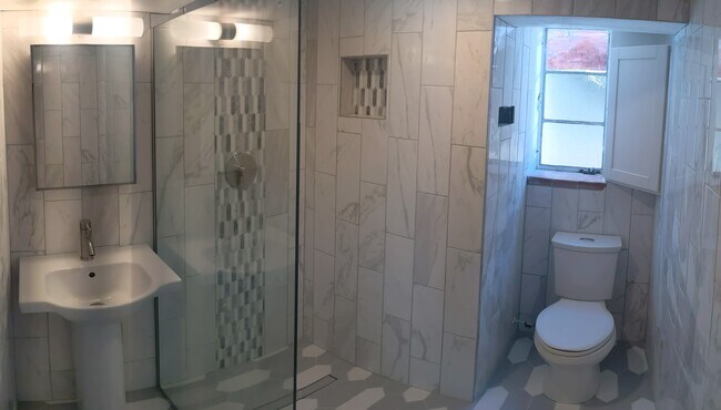 Basement Bathroom - 245 South Grant St