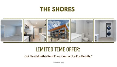 Building Photo - The Shores