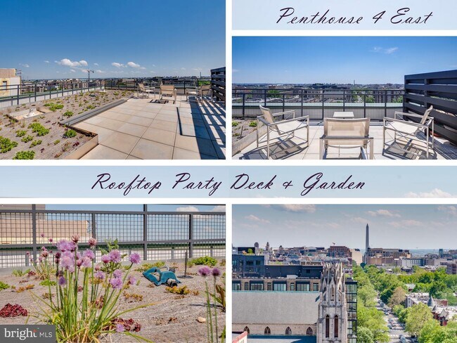 Foto del edificio - 1468 Belmont St NW