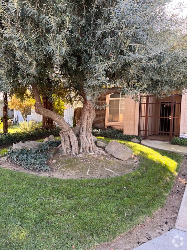 Western Suburban Fresno Apartments for Rent with Hardwood Floors