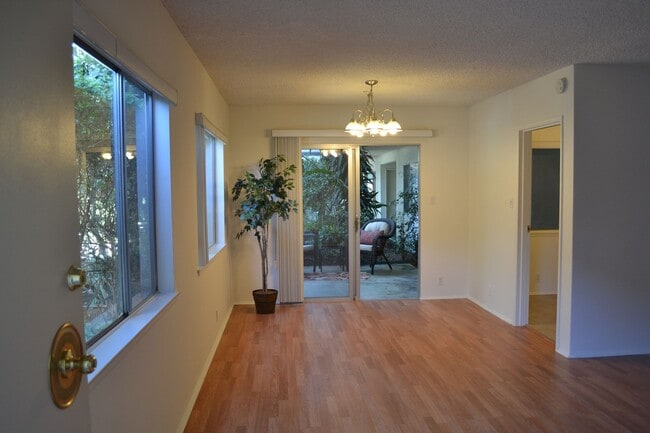 Interior Photo - Royal Gardens Arcadia