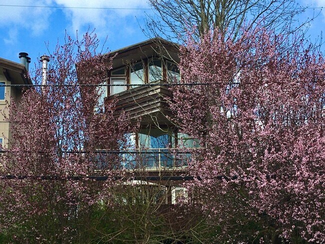 Foto del edificio - 2005 43rd Ave E