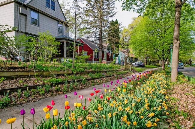 Sidewalk Flowers